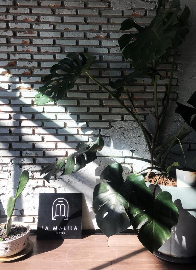 La Malila Hostel ウドーンターニー エクステリア 写真